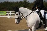 SBM_005831