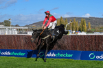 241025-Race 2-Cloonainra-2619