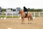 SBM_012246