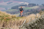 Tweed Valley-816