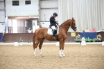 SBM_003309