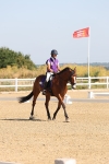 SBM_002913