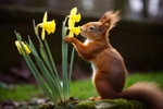 pr081 Sweet Smell of Springtime-2