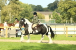 SBM_68821