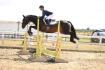Class 14 - Senior 1.15m Open portfolio