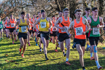 Cumbria XC-8