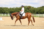 SBM_000644