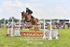 BPP_0556