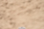 230813A-114106-12095
