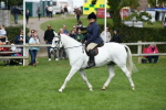SBM_46826