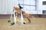 SBM_004897