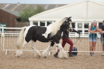 SBM_08416