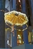 V BEST SAGRADE FAMILIA17 June 2016 - 2 of 11