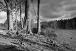 Loch Mallachie, near Aviemore,Cairngorms.