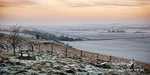 Pewsey Vale  240115 21a