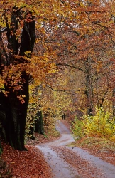 Lake District portfolio