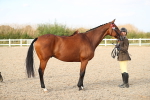 SBM_08636
