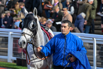 241025-Race 3-Grey Skies-2960