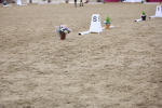 SBM_09419