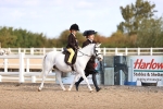 SBM_09008