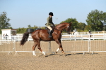 SBM_02208