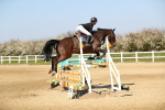 SBM_000986
