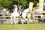 SBM_08456