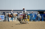 3HRodeo8-11-25_PRCASteer_05404_