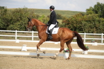 SBM_001437