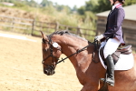 SBM_001814