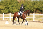 SBM_017743