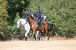 WJ6_8335