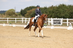 SBM_018319