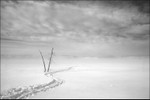 Snow Tracks