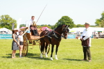 SBM_06699