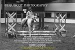 BPP_6995