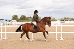 SBM_16544