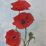 Poppies