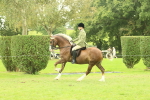 SBM_72096