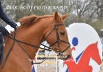 BPP_8329