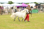 SBM_04370