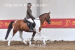 BPP_1108