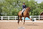 Cls 19 BD FEI Intermediate I portfolio
