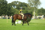 SBM_44854