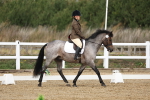SBM_001844