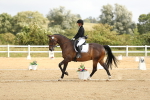 SBM_015667
