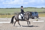 BPP_9517