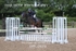 BPP_0676