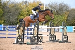 Cls 6 Snr Foxhunter 1.20m portfolio