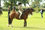 SBM_69037